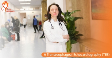 Transesophageal Echocardiography (TEE)