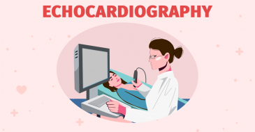 Echocardiography - ultrasound examination of the heart