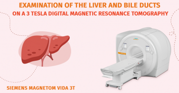 Examination of the liver and biliary tract accompanied by hepato-biliary contrast