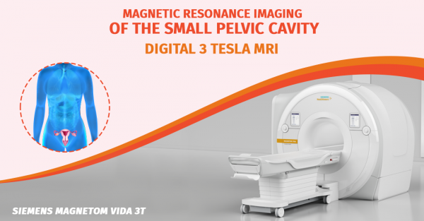 Small pelvic cavity magnetic resonance tomography