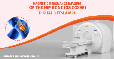 Magnetic resonance imaging of the hip joint