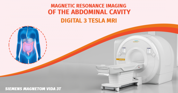 MRI of the abdominal cavity and pelvis