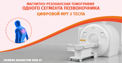 МРТ (MRI) одного сегмента позвоночника 