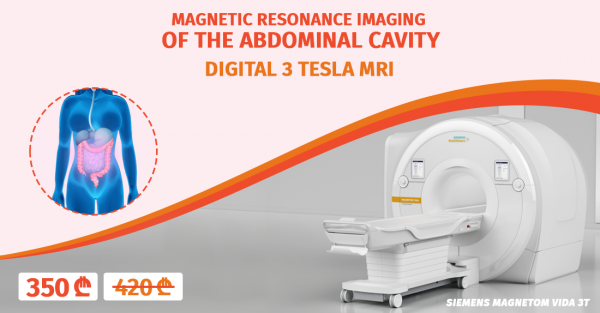 Abdominal cavity Magnetic – Resonance Tomography