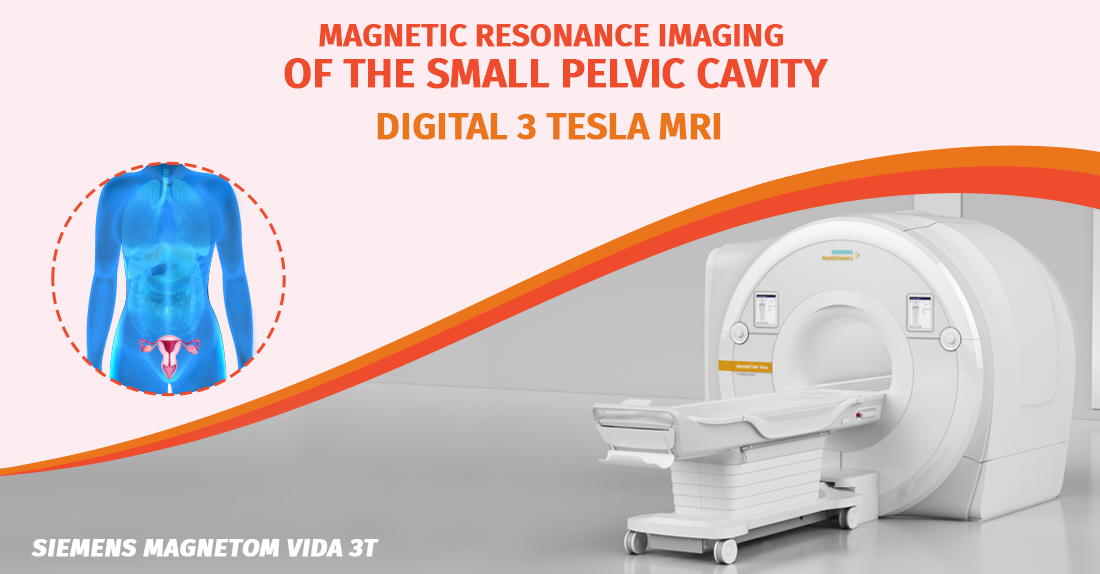 Small pelvic cavity magnetic resonance tomography